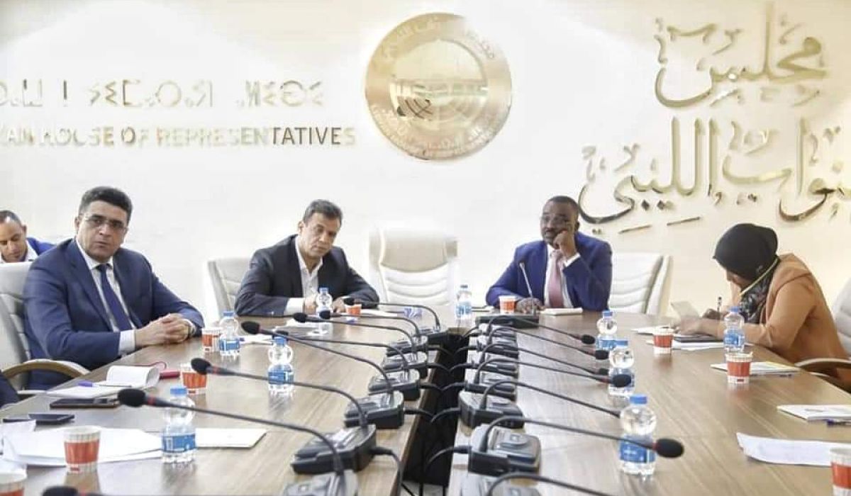 مجلس النواب والديوان يبحثان مشروعات الجنوب