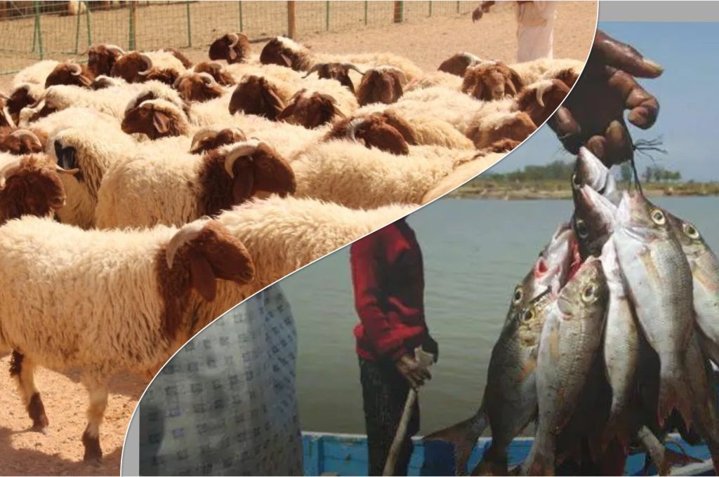 إجمالي الإنفاق لوزارة التخطيط والجهات التابعة لها بحسب ما ورد في بيان المركزي