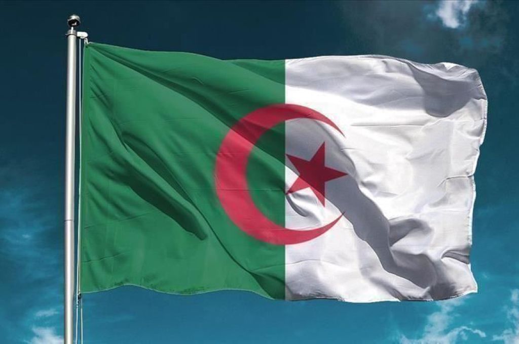 عون يشارك في الاجتماع الوزاري (رقم 181) لمنظمة الدول المصدرة للنفط (أوبك)