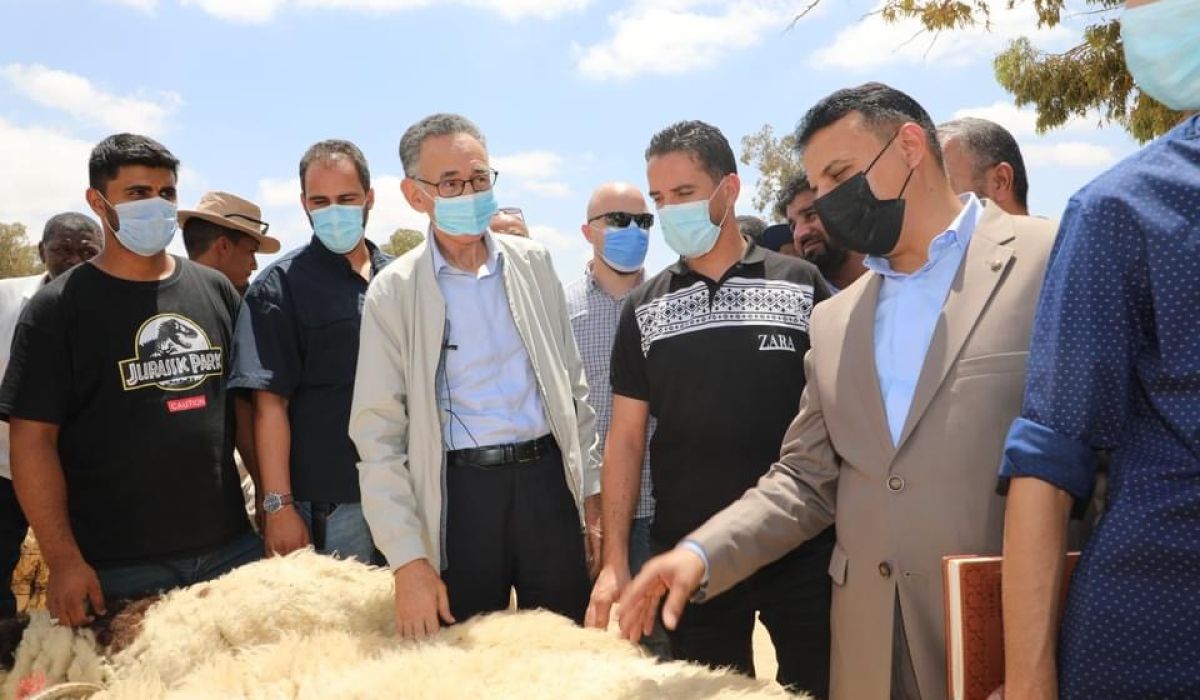 الحويج يقف على أسعار المواشي ..ويوجه مطالبات هامة جداً بخصوص أسعار الأعلاف