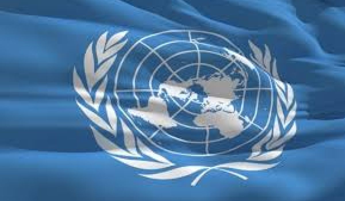 تحديد القيمة الحقيقية للأصول الليبية من أولويات عمل فريق الأمم المتحدة