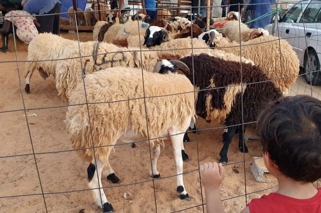 العامة للكهرباء تعلن عن البدء التشغيلي للوحدة الأولى بمحطة طبرق الاستعجالي
