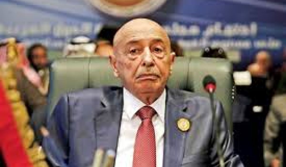عقيلة صالح يبقي رئيس المحفظة الاستثمارية طويلة المدى ويتجاوز قرار رئيس المؤسسة الليبية للأستثمار