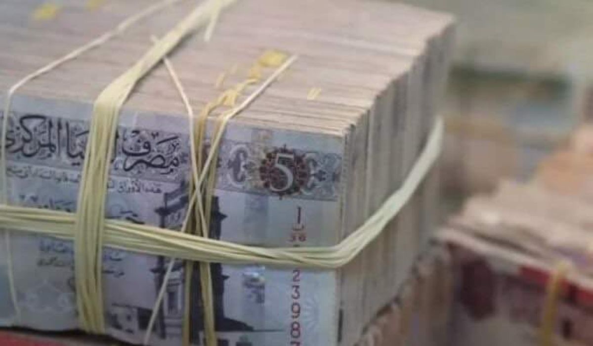 المالية تعلن إحالة أذونات صرف الطلبة الدارسين بالخارج وموظفي السفارات والقنصليات والبعثات.. وعدداً من التفاصيل العامة