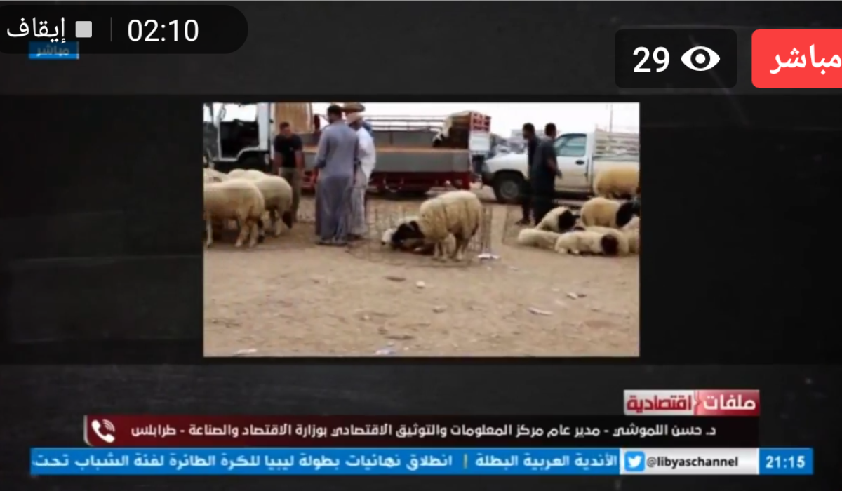 اللموشي لملفات اقتصادية :غداً سيتم فتح المنظومة لتلقي فواتير الأضاحي