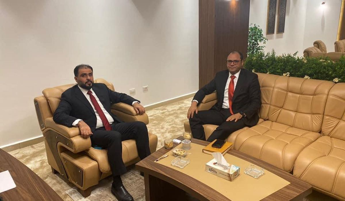 "حماد" يناقش سبل دعم المستشفيات والمراكز الصحية مع وزير الصحة