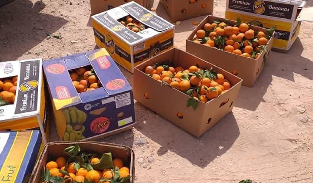 إيقاف سيارة تحمل برتقال "غير صالح للاستهلاك البشري" عبر منفذ وازن البري