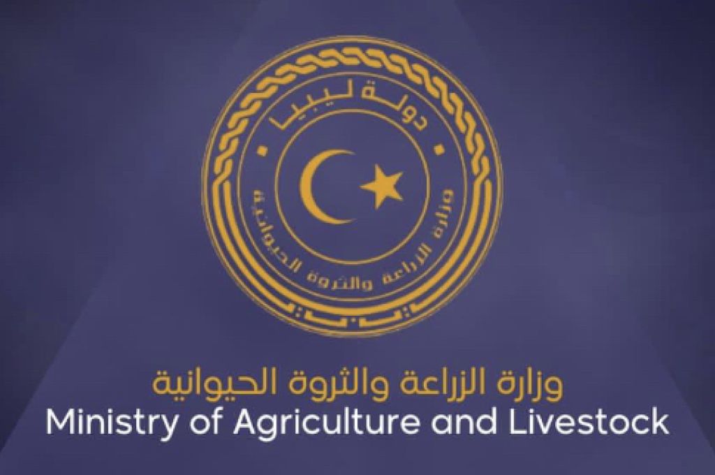 بحضور رئيس الحكومة .. أبوجناح يعلن إطلاق أول نظام إلكتروني لإدارة المخزون الدوائي للدولة الليبية