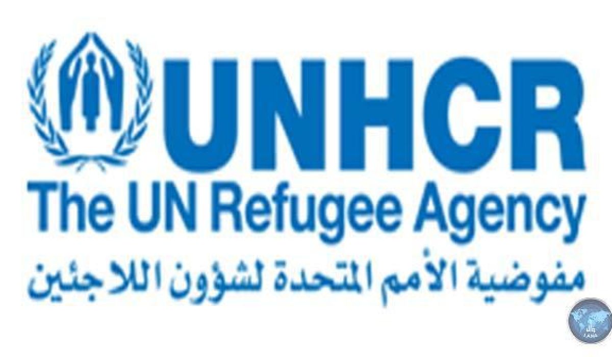 مفوضية شؤون اللاجئين تطالب بتوفير أكثر من 226 مليون دولار لدعم جهودها بالمتوسط