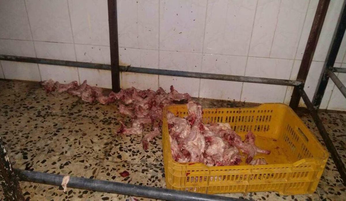 الحرس البلدي يقفل بعض المقاهي بطرابلس