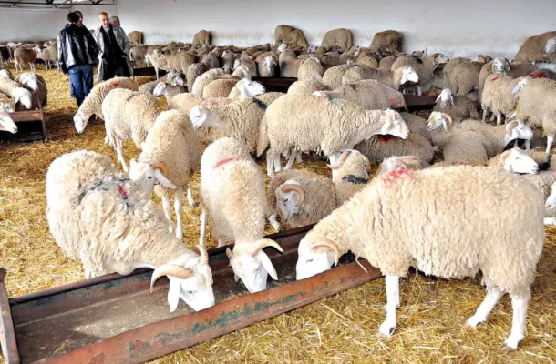 خاص.. مصدر بالمركزي يكشف لصدى عن إجراءات تصحيحية سيتخدها المصرف اتجاه بنك الوحدة