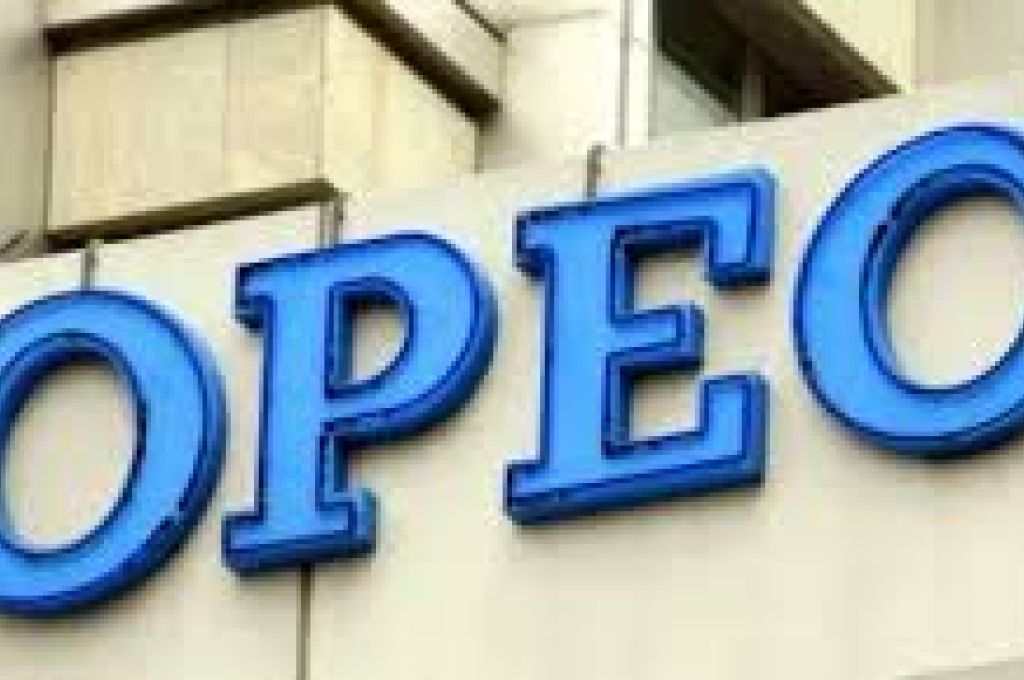 عودة 149 نيجيرياً طواعية إلى بلادهم