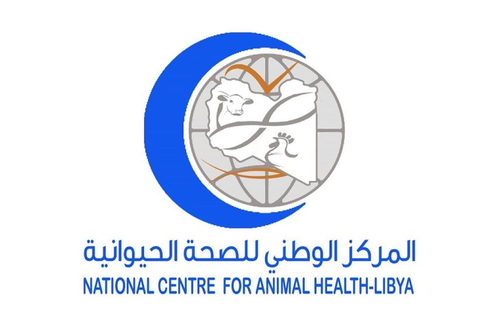"موازنة الأسعار" بالمنطقة الشرقية يستعد لصرف الدفعة الأولى من السلع التموينية