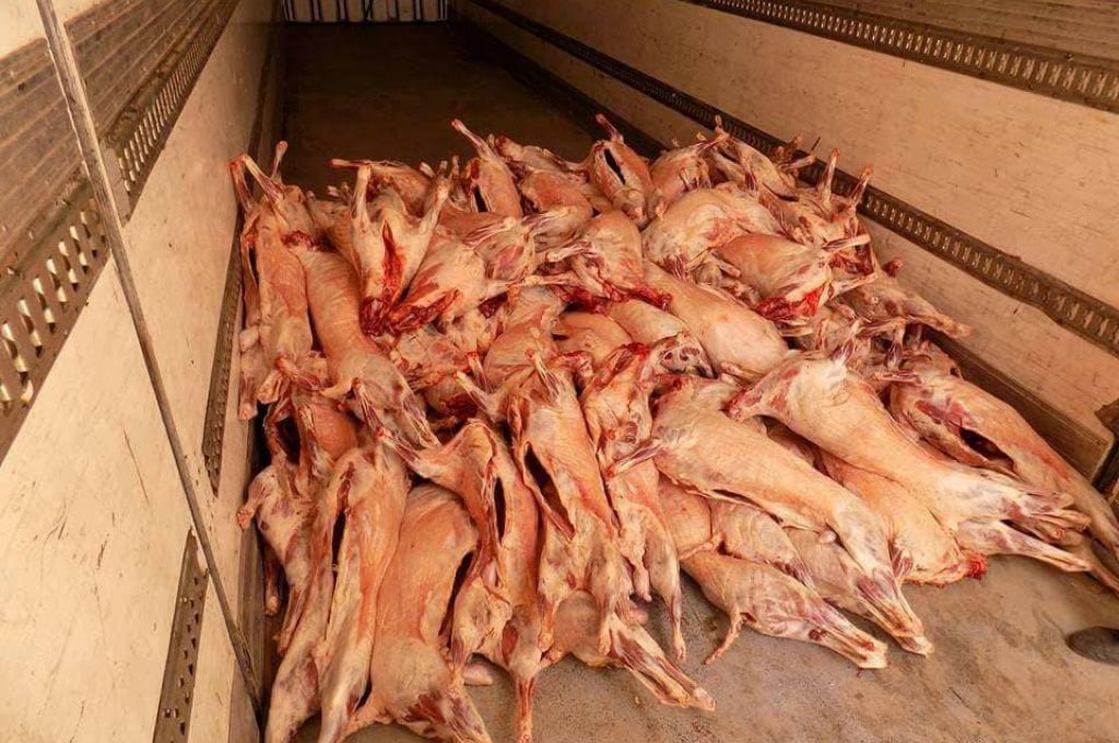 " بحضور البلدي افتتاح سوق تجاري بصبراته "