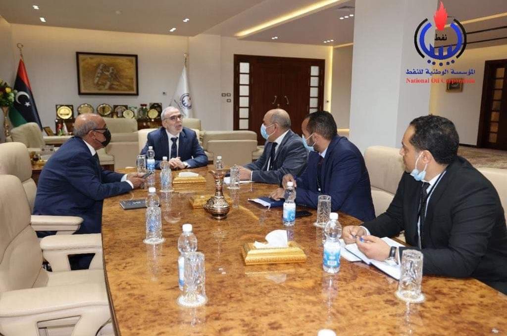 "شكشك" يبحث إمكانية إبرام اتفاقيات تعاون مع معهد ناصر للبحوث والعلاج بمصر