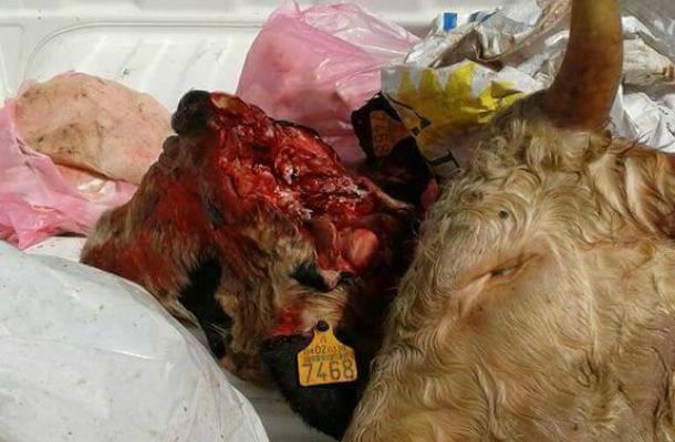 تسليم لبعض المشاريع يتخلل زيارة وفد الوطنية للنفط إلى أوباري