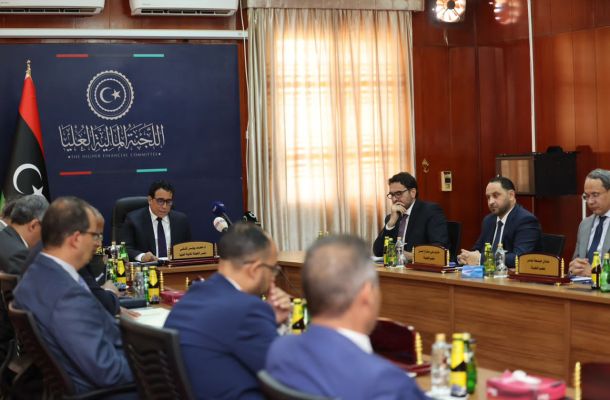 ديفيكس: حجم المساعدات المالية الدولية إلى ليبيا وصلت حتى الآن إلى 57 مليون دولار