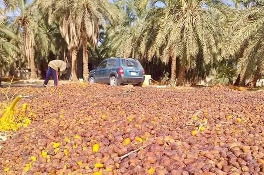 شركة الخطوط الليبية تعين مدير عام لها