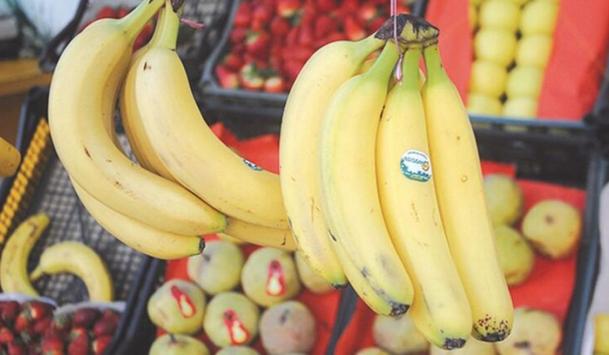 الموز يسجل إنخفاضا