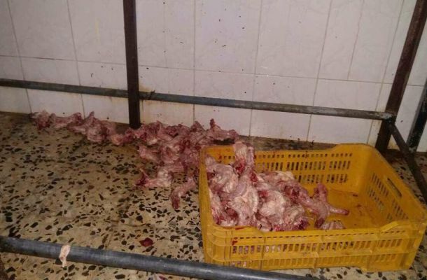استئناف الرحلات الجوية بمطار معيتيقة الدولي