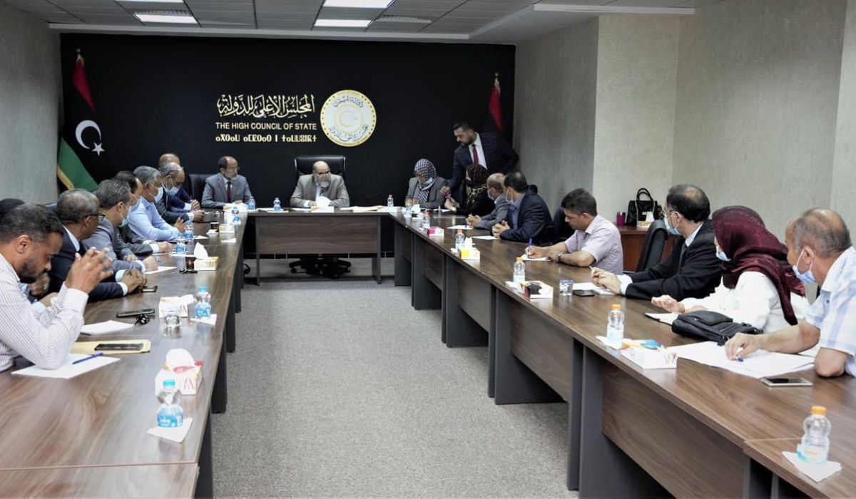 لجنة الخدمات العامة بالأعلى للدولة تناقش أسباب وقف العطاء العام.. وملفي الأمراض والكلى