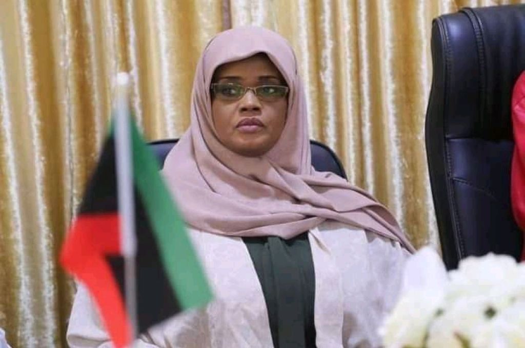 "شكشك" يبحث فريقي التخطيط الاستراتيجي والتشغيل الإجراءات العملية لتحديد الأنشطة التشغيلية لتنفيذ المخطط