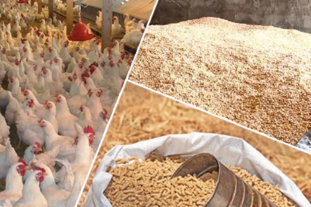 "الرعيض" لصدى: لهذه الأسباب ستزداد أسعارنا بشكل تدريجي