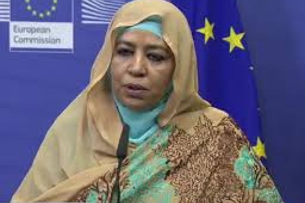 كاجمان يبحث مع القائم بالأعمال البريطاني المشاريع الصغرى والمتوسطة وتمكين الشباب بالجنوب