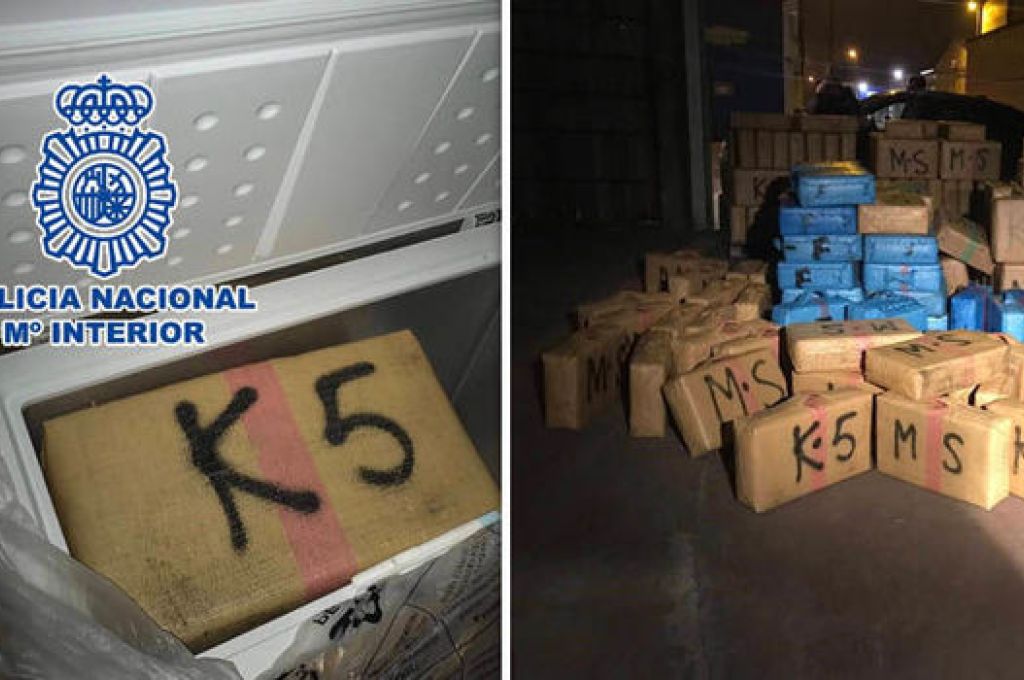 انطلاق مهرجان السلام الوطني السنوي الأول للبرتقال ببلدية العزيزية