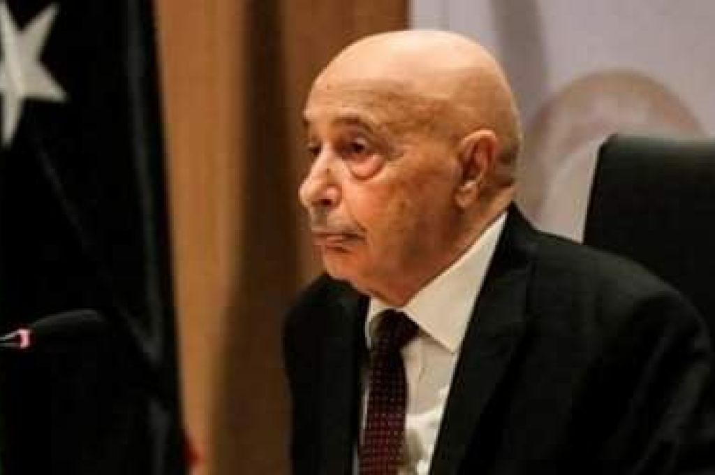 رئيس المجلس الرئاسي يناقش مع وزير الخارجية التركي سبل تعزيز التعاون الاقتصادي