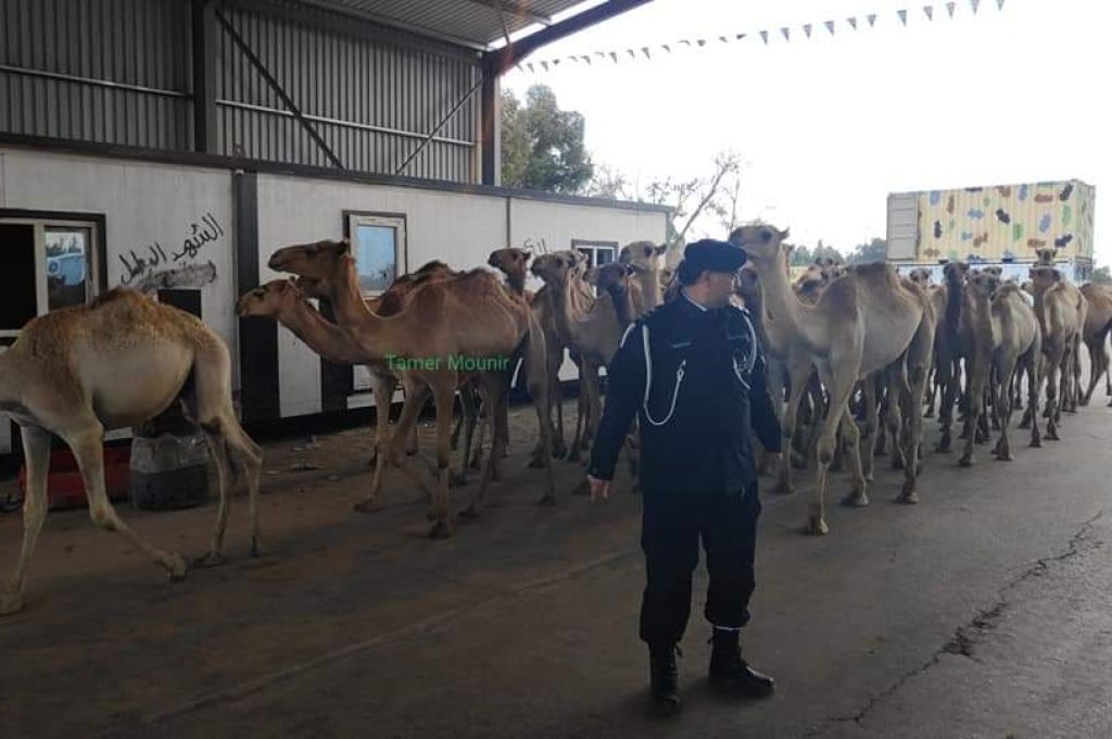 "الصلح": الاقتصاد الليبي يتميز بوجود احتياطي نقدي ممتاز خاصة بالعملات الأجنبية
