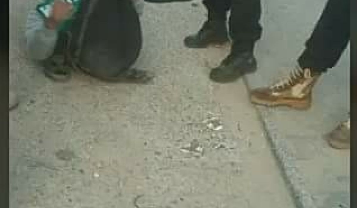 بالصور.. جهاز أمني بالمطرد يقبض على مهربين ويعاقبهم أمام المارة