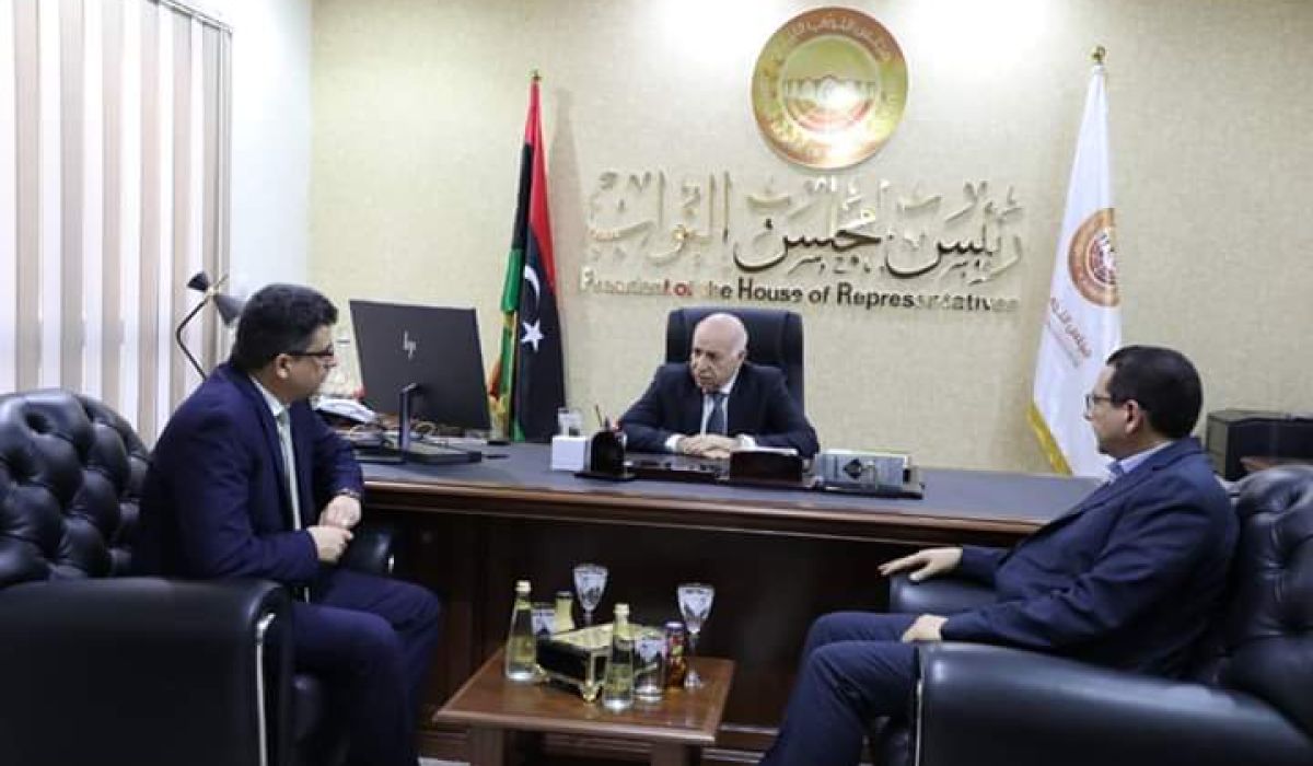 "الكحيلي وشكشك" يناقشان مشاركة ديوان المحاسبة في الحوار الاقتصادي المزمع عقده في العاصمة المصرية