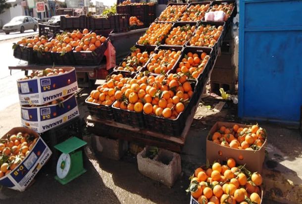 روسيا تتوغل في أفريقيا وتحكم سيطرتها على جيران ليبيا