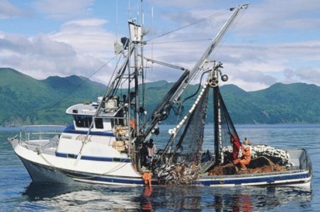 في ظل غياب المصرف المركزي ، "القطاع المصرفي في أعين هيئة الرقابة الادارية" ...