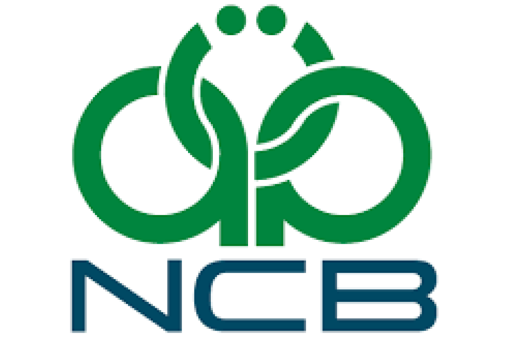 الفقيه: أرباح شركة الليبية للحديد والصلب بلغت 150 مليون منذ بداية 2018 وحتى سبتمبر.