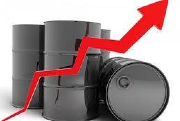 الترهوني يكتب عن "معضلة ليبيا والتنمية المستدامة"