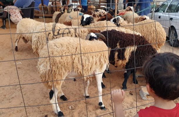 حبارات يكتب: توضيح في غاية الأهمية حول إعادة النظر في سعر الصرف