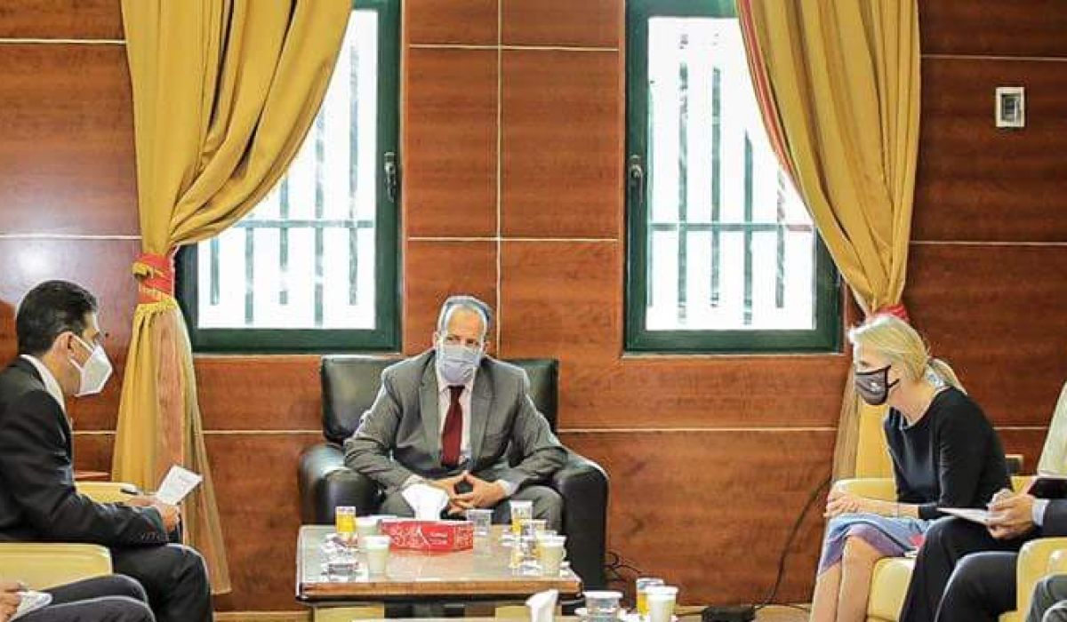 اجتماع وزير الصحة في حكومة الوحدة الوطنية مع ممثل منظمة الصحة العالمية