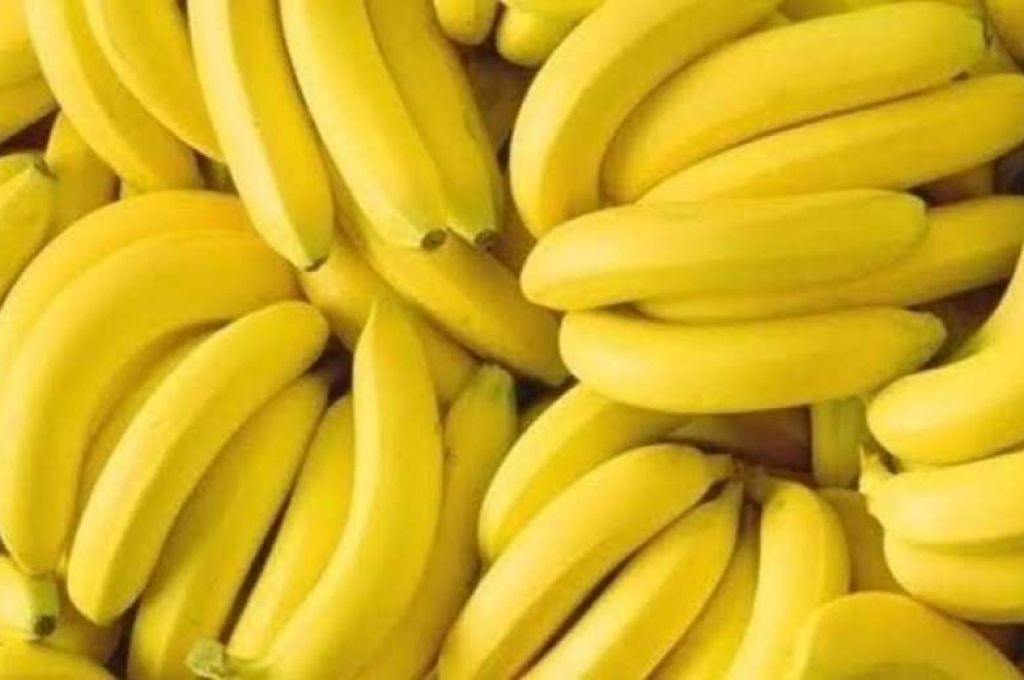 القبض على مدير مستشفى الطبي بعد رصد عدة مخالفات كارثية بالمستشفى والمخازن التابعة لها
