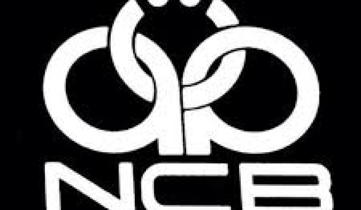 ديوان المحاسبة يستمر في كشف محاولات الاستيلاء بمصرف التجاري الوطني بالبيضاء