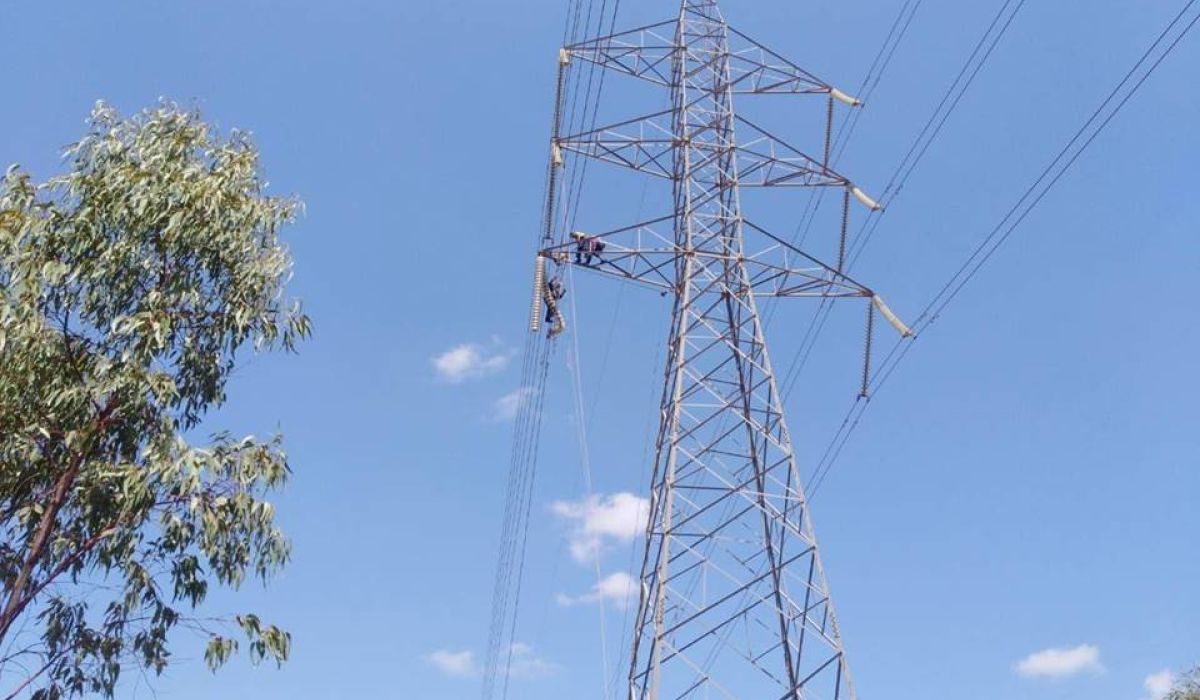 العامة للكهرباء تباشر أعمال الصيانة لخطوط كهرباء منطقة عين زارة