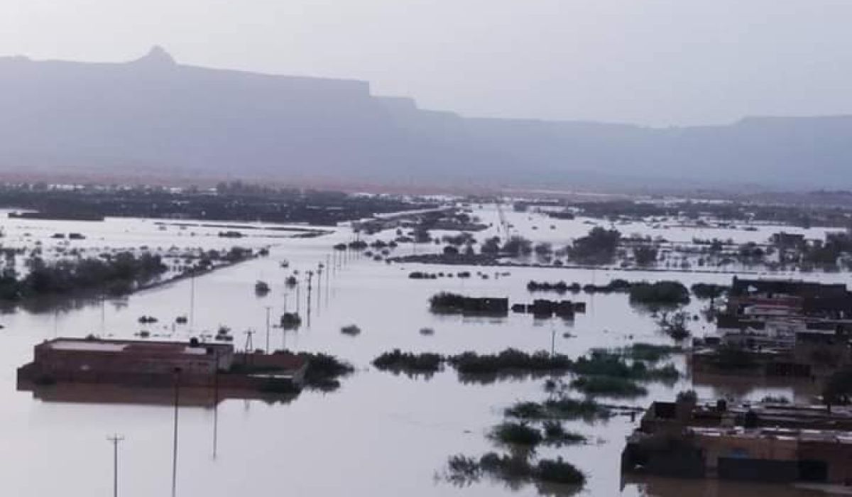 عثمان لصدى: سلامة تحدث عن تخصيص منح بقيمة إجمالية 6.8 مليون دولار لدعم البيئة وإعادة الإعمار في غات