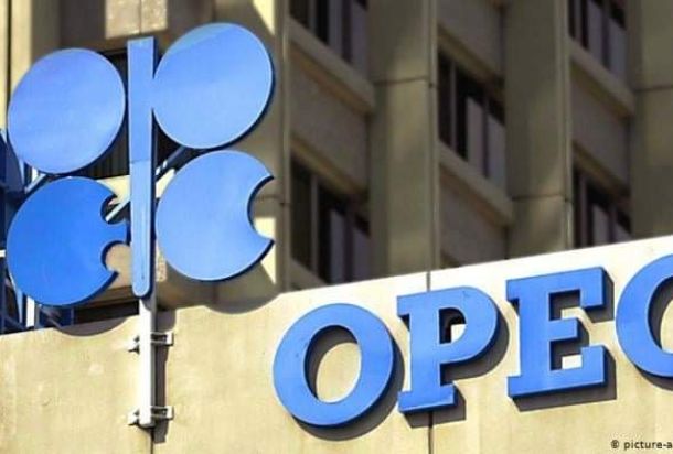 الشحومي يكتب مقالاً بعنوان "اقتصاد سباقات الخيل"