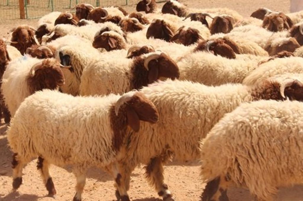 مصرف الجمهورية "فرع الميدان" يؤكد إصابة إحد موظفيه بفيروس كورونا
