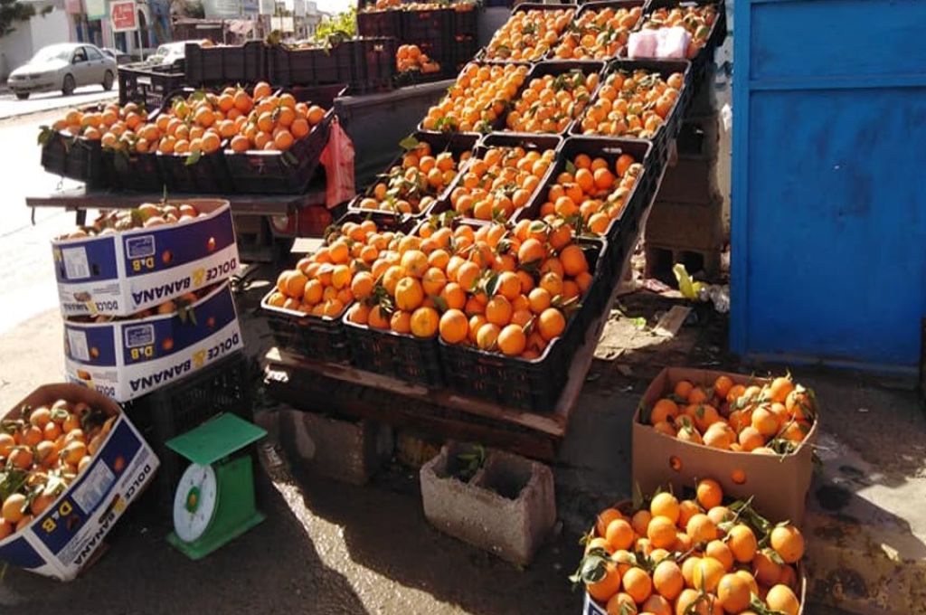 وزير العمل يبحث سبل إيجاد الحلول المناسبة لفائض الملاك الوظيفي ووضع خطة عمل لدعم وتشجيع القطاع الخاص