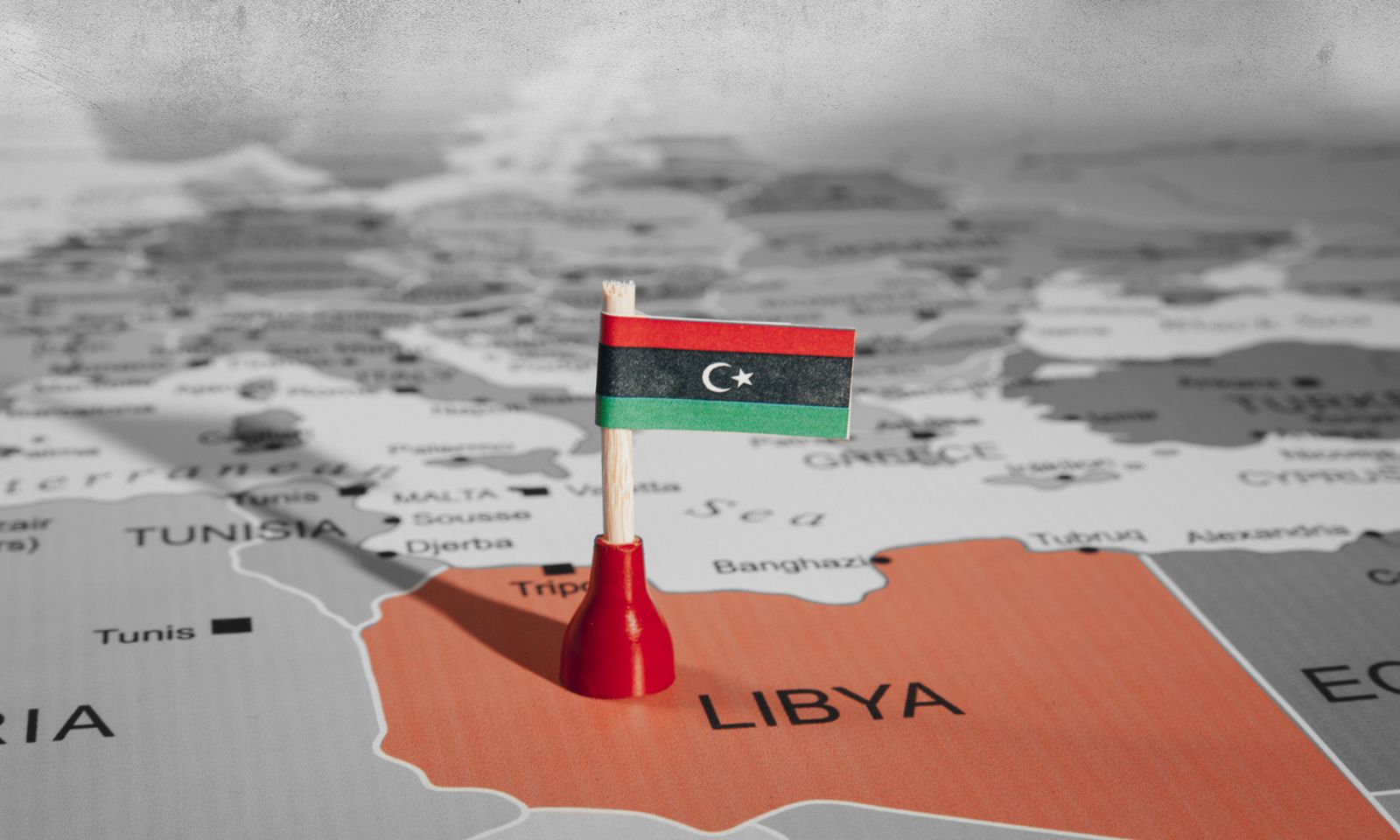 "الشاوش": هذه أسباب تعثر مشروع رقمنة الدولة رغم المليارات المصروفة