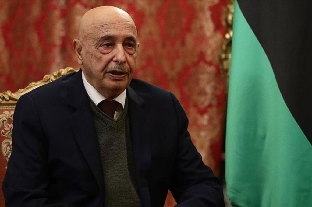 إدارة القانون بالأعلى للقضاء تحكم بحصرية ديوان المحاسبة بالرقابة المصاحبة والمراجعة المالية