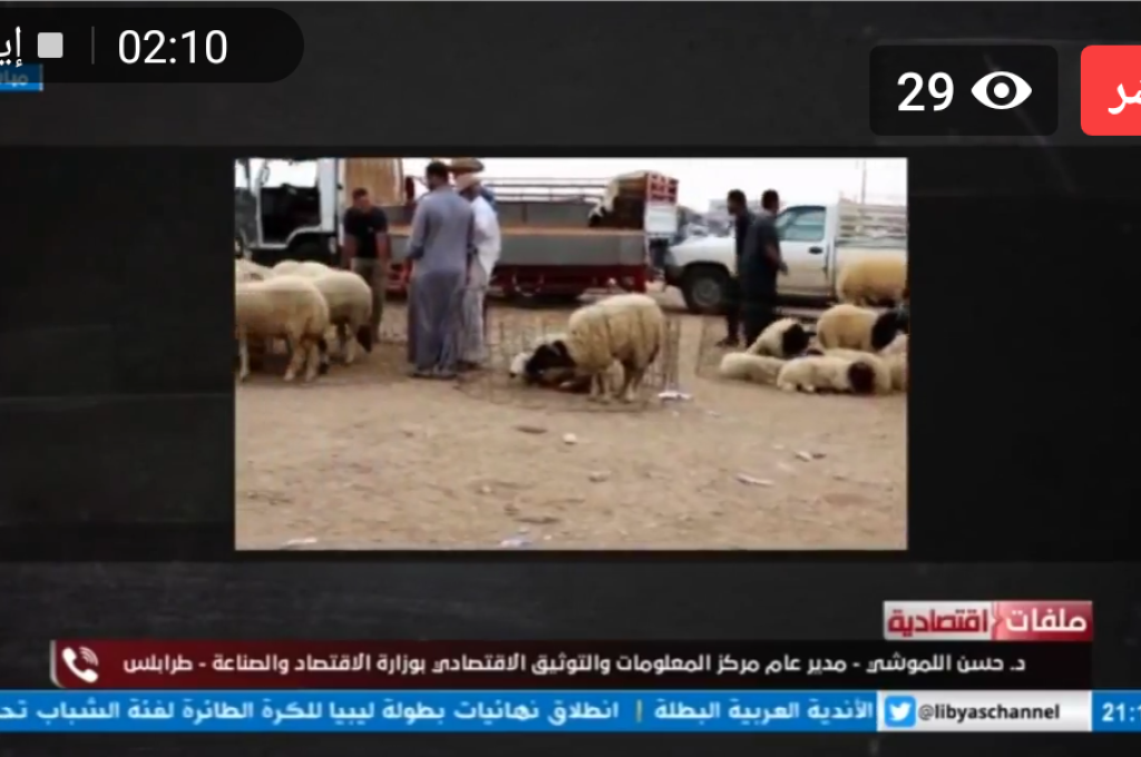 لهذه الأسباب لا تستطيع وزارة الاقتصاد شراء الأغنام المحلية والحفاظ على الثروة الحيوانية