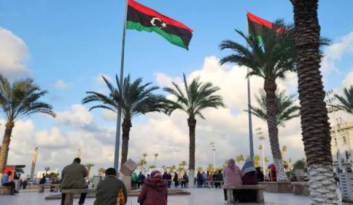 "الشاوش" يكتب حول حوكمة الشركات المملوكة للدولة 